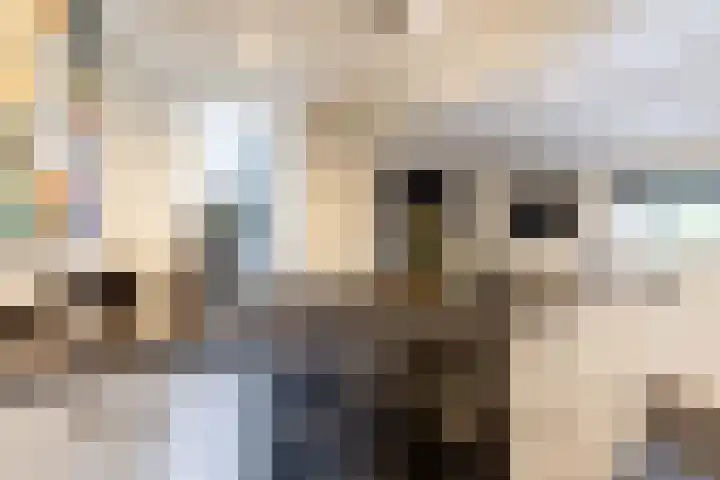 Buiteneinde 28 Strijen thumbnail 18