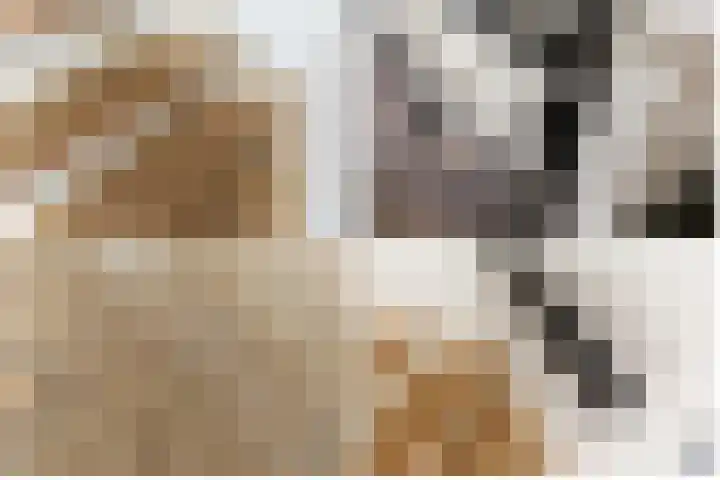 Buiteneinde 28 Strijen thumbnail 21