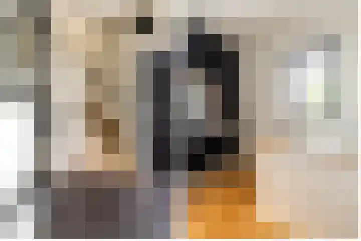 Buiteneinde 28 Strijen thumbnail 22