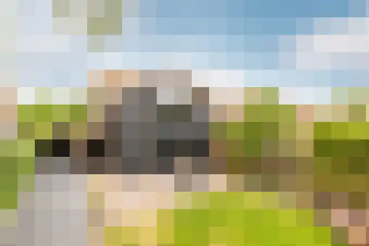 Buiteneinde 28 Strijen foto 3