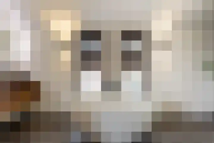 Buiteneinde 28 Strijen thumbnail 31