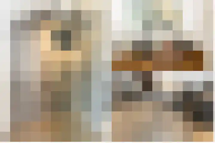Buiteneinde 28 Strijen thumbnail 33