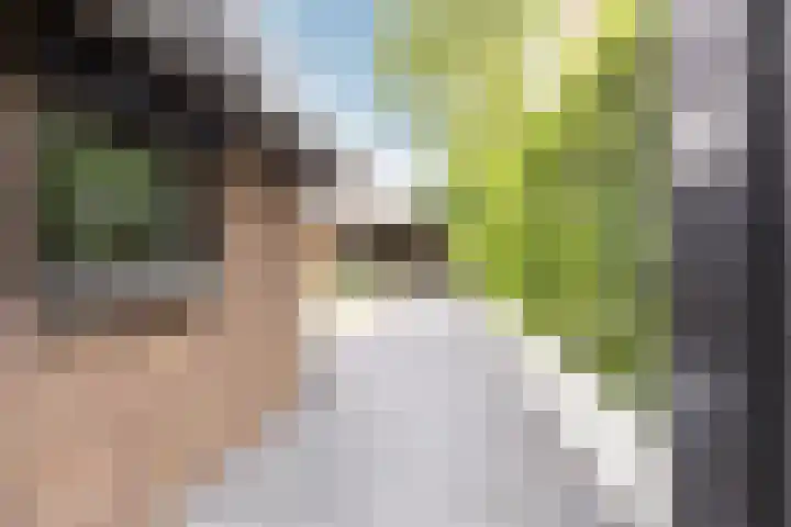Buiteneinde 28 Strijen thumbnail 39