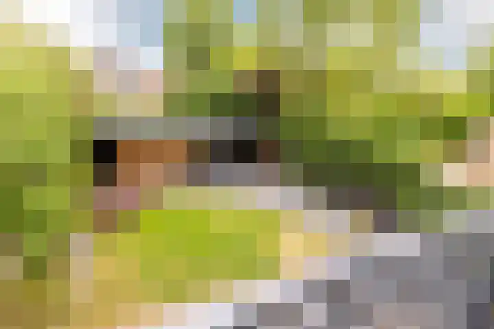 Buiteneinde 28 Strijen thumbnail 42