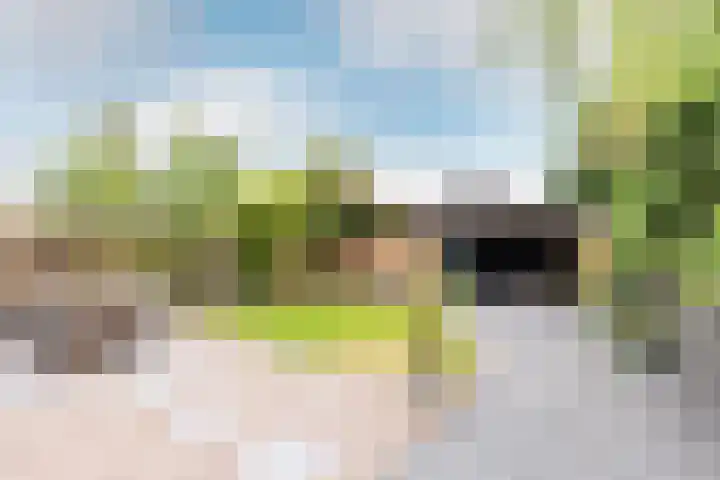 Buiteneinde 28 Strijen thumbnail 5