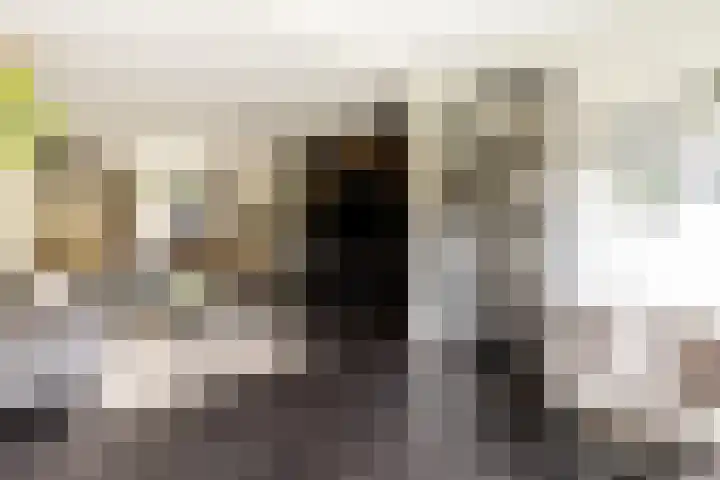 Buiteneinde 28 Strijen thumbnail 8