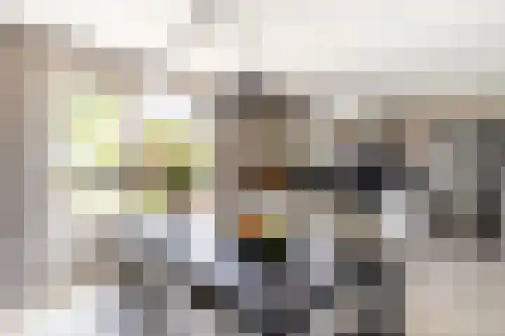 Buiteneinde 32 Strijen thumbnail 10