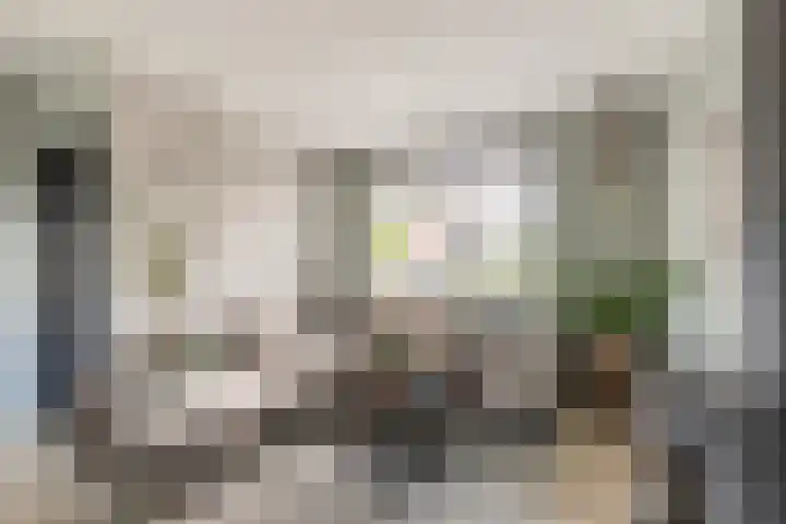 Buiteneinde 32 Strijen thumbnail 12