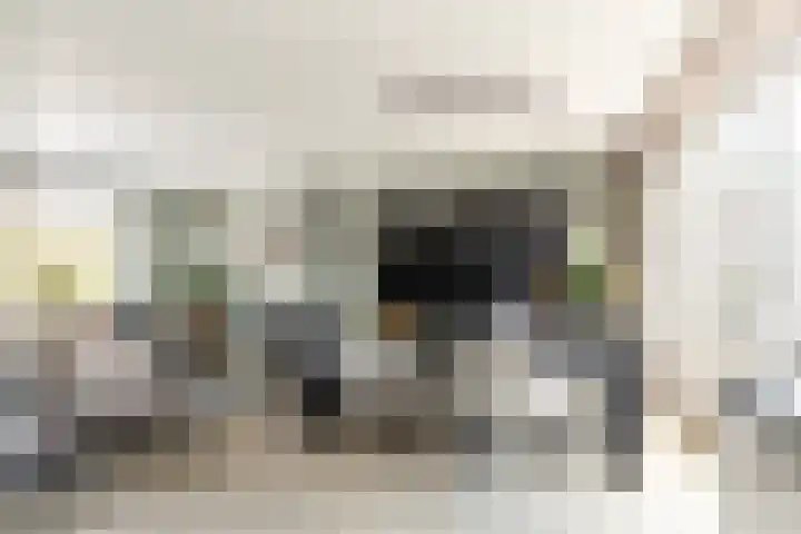 Buiteneinde 32 Strijen thumbnail 17