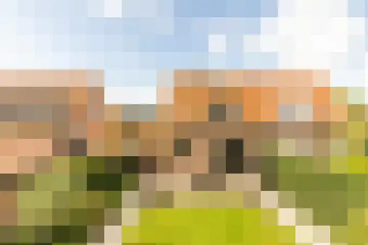 Buiteneinde 32 Strijen foto 2