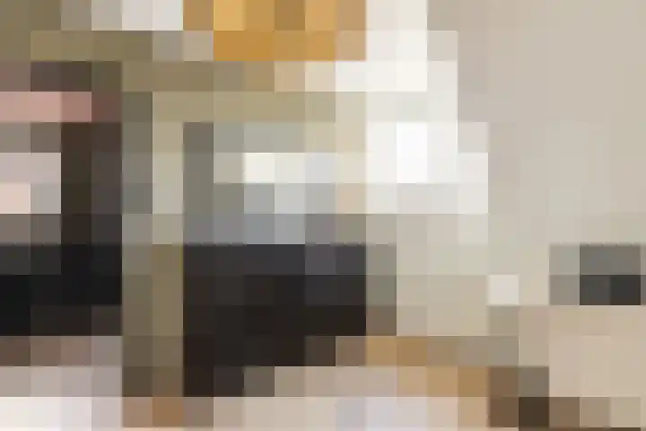 Buiteneinde 32 Strijen thumbnail 24