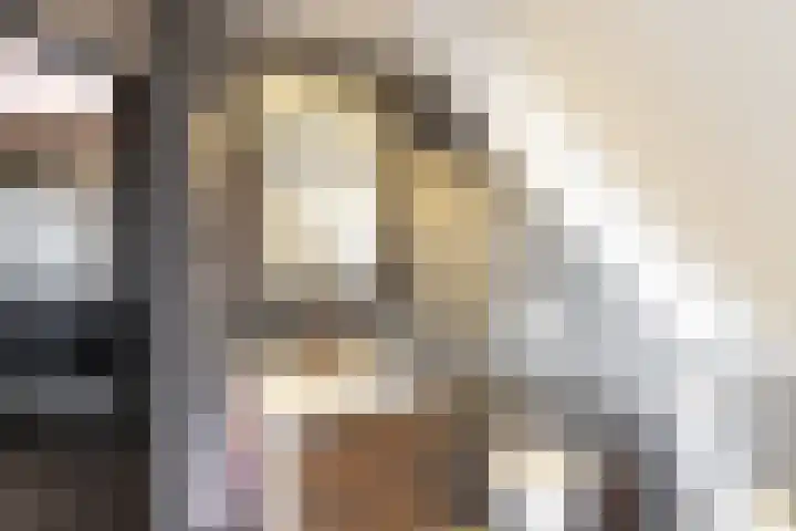 Buiteneinde 32 Strijen thumbnail 26