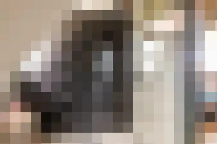 Buiteneinde 32 Strijen thumbnail 27