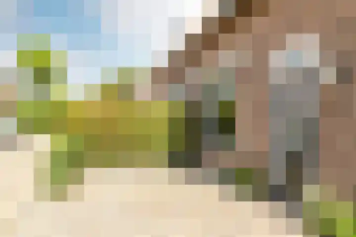 Buiteneinde 32 Strijen thumbnail 31