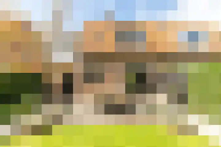 Buiteneinde 32 Strijen thumbnail 34