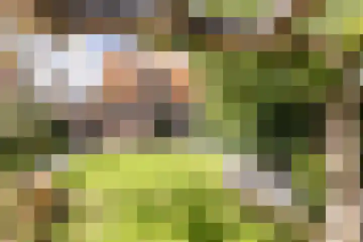 Buiteneinde 32 Strijen thumbnail 35