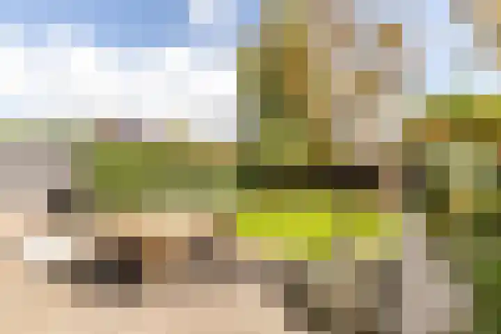 Buiteneinde 32 Strijen thumbnail 36