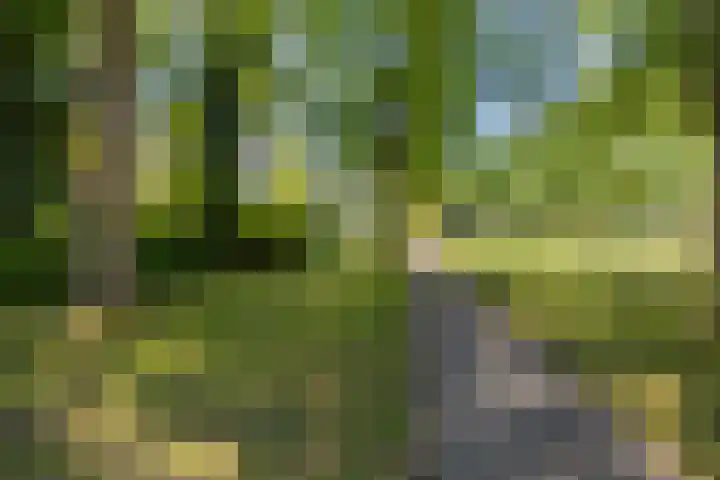 Buiteneinde 32 Strijen thumbnail 38