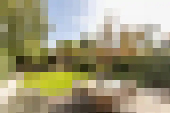 Buiteneinde 32 Strijen thumbnail 4