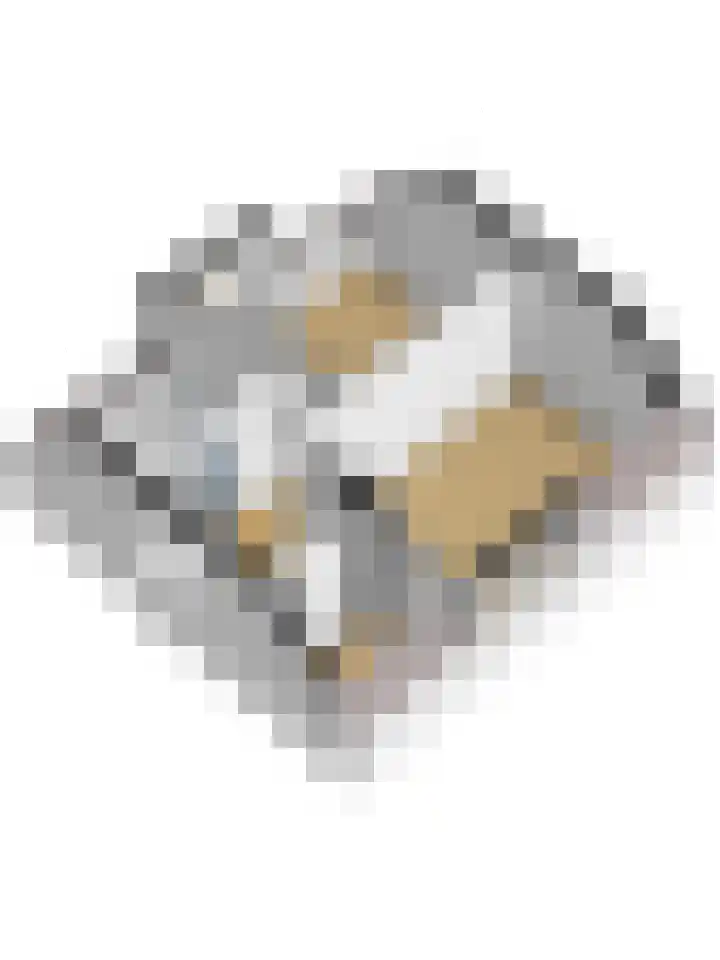 Buiteneinde 32 Strijen thumbnail 43