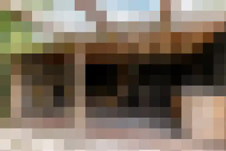 Buiteneinde 32 Strijen thumbnail 6