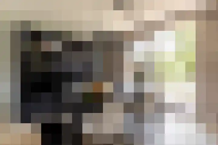 Buiteneinde 32 Strijen thumbnail 9