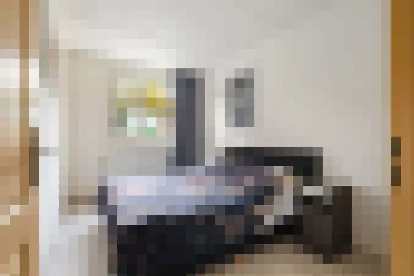 Buitenerf 103 Breda thumbnail 19