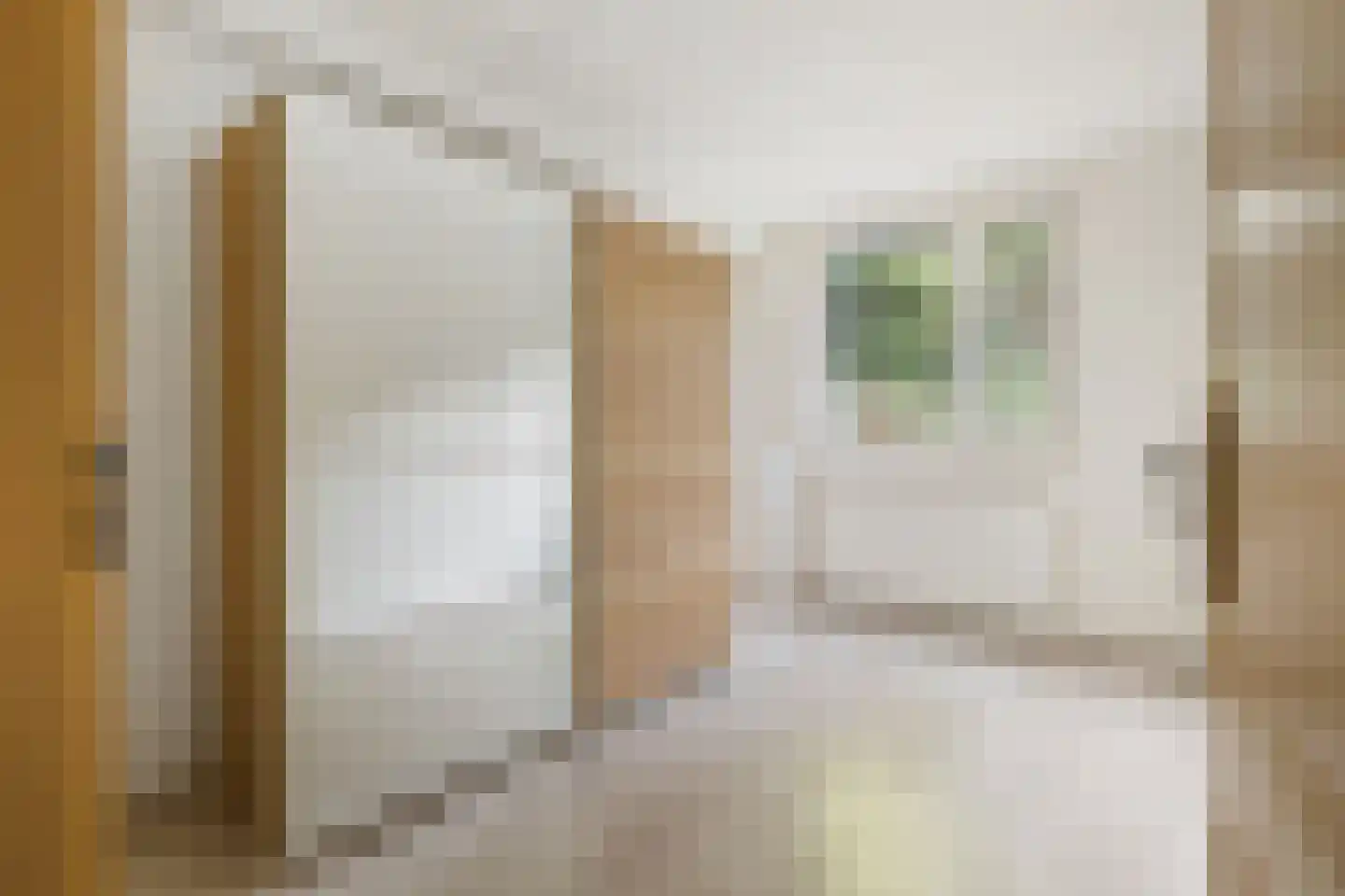 Buitenerf 103 Breda thumbnail 21