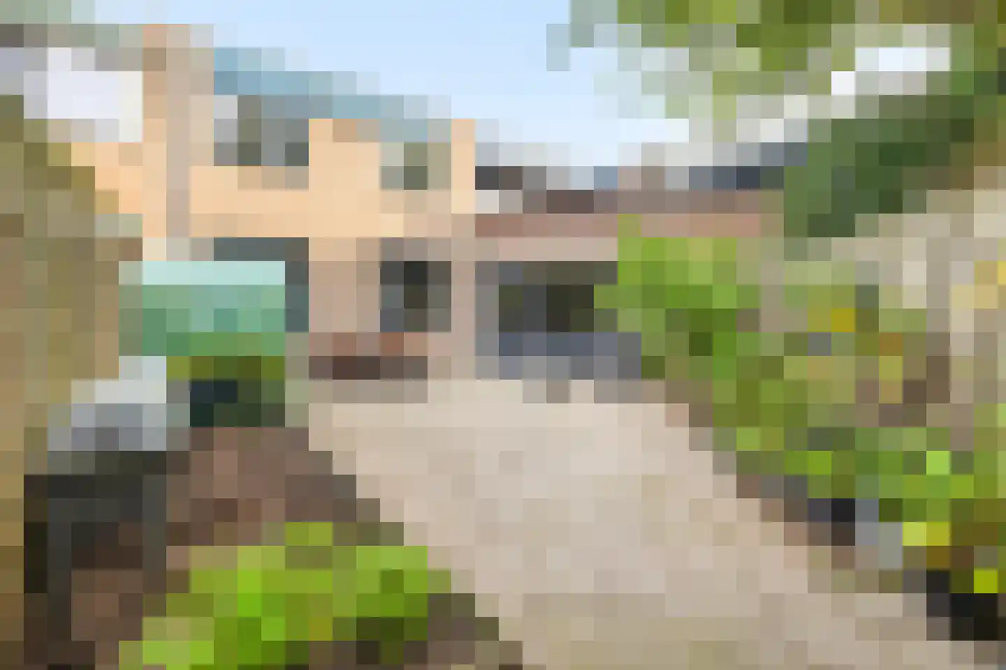 Buitenerf 103 Breda thumbnail 30