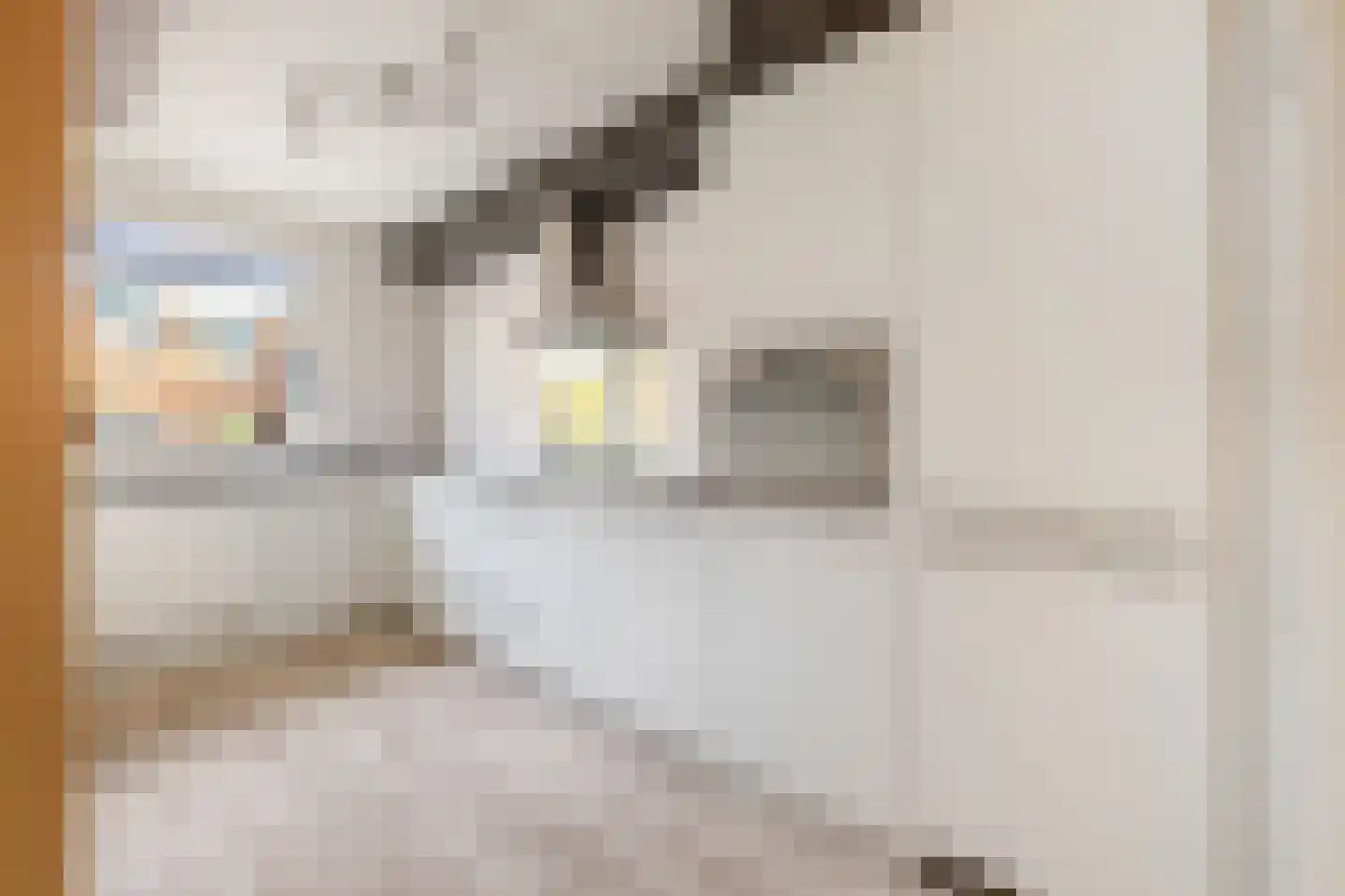Buitenerf 103 Breda thumbnail 4