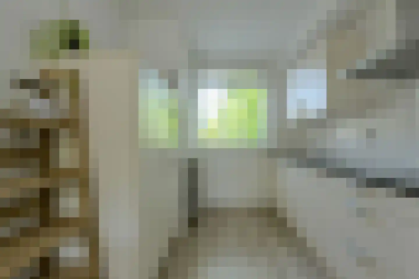 Buitenerf 106 Breda thumbnail 8