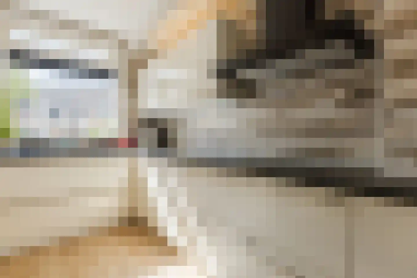 Buitenerf 137 Breda thumbnail 11