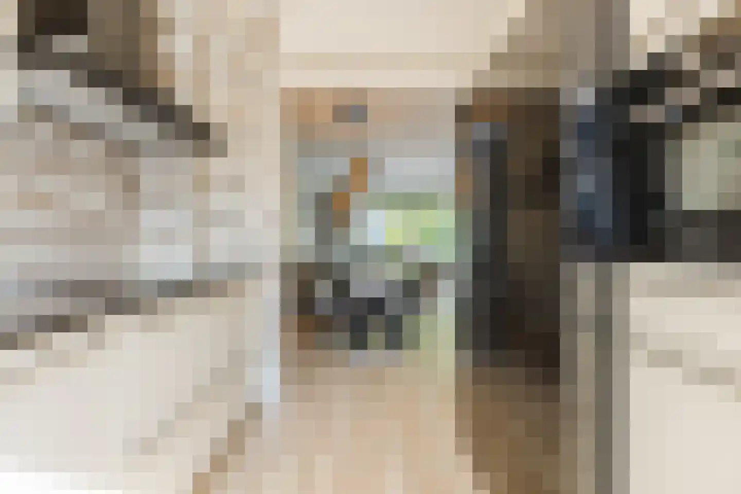 Buitenerf 137 Breda thumbnail 12