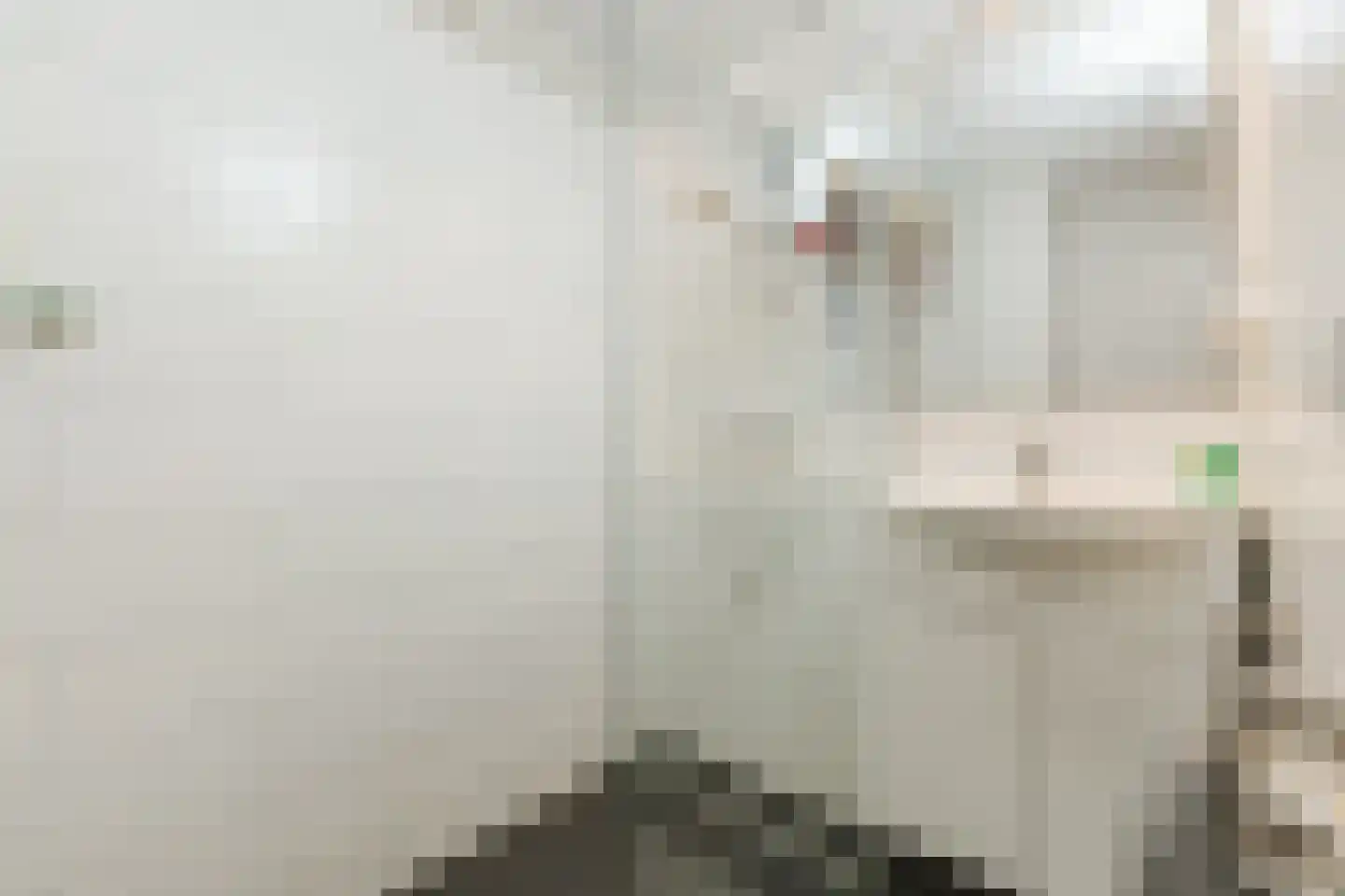 Buitenerf 137 Breda thumbnail 19