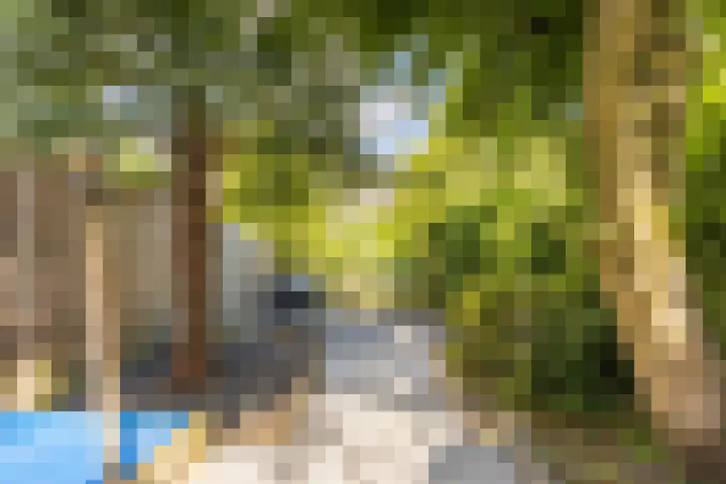 Buitenerf 137 Breda thumbnail 22