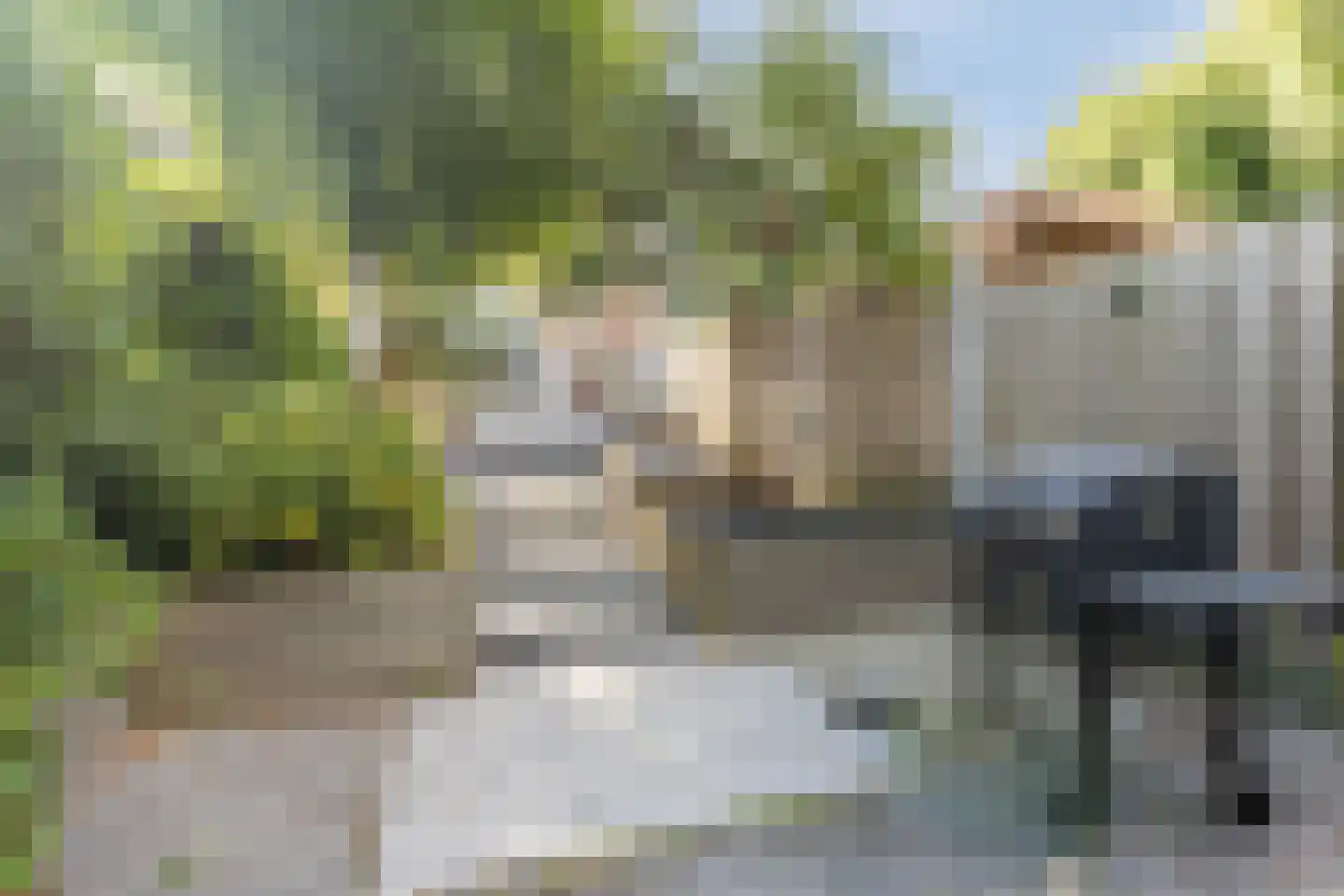 Buitenerf 137 Breda thumbnail 23