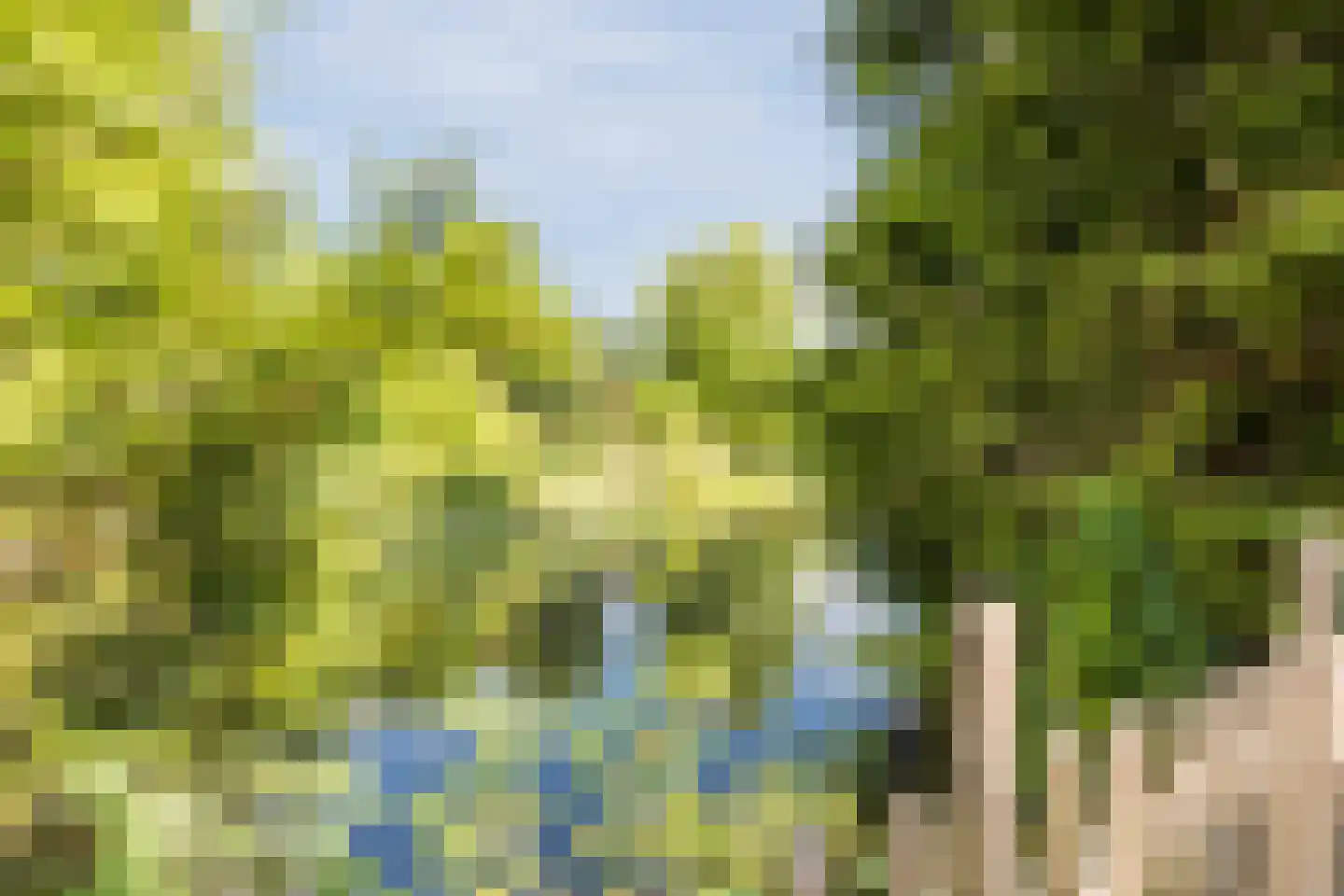 Buitenerf 137 Breda thumbnail 25