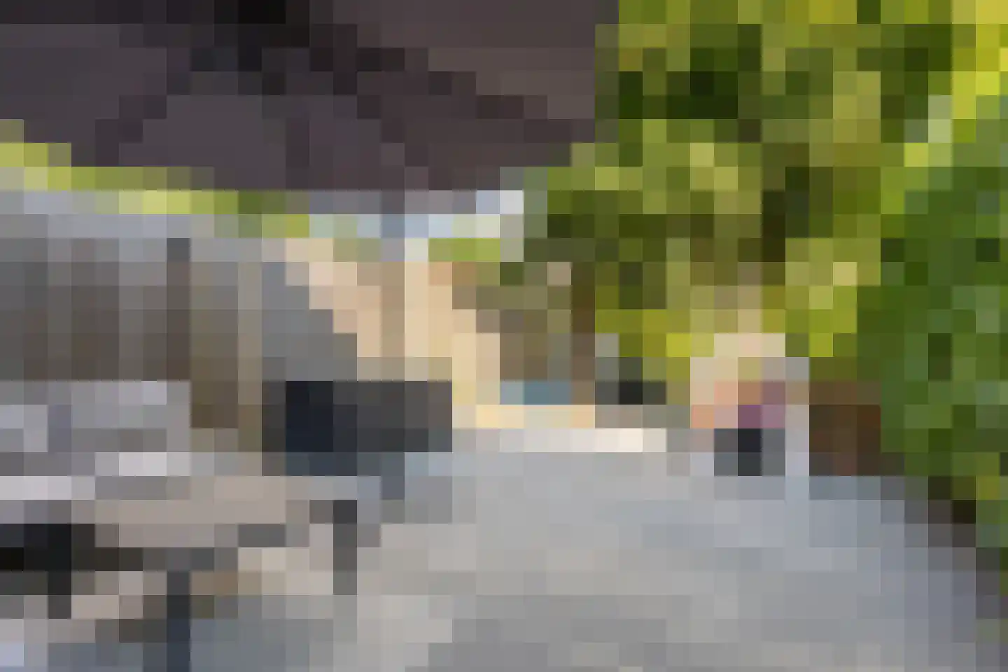 Buitenerf 137 Breda thumbnail 4