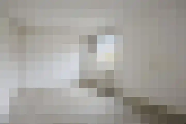 Buitenerf 143 Breda thumbnail 11