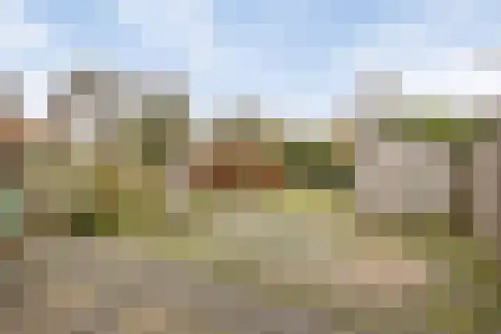 Buitenerf 143 Breda thumbnail 18