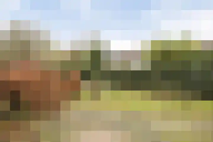 Buitenerf 143 Breda thumbnail 19