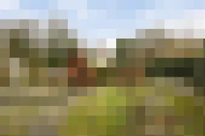Buitenerf 143 Breda thumbnail 20