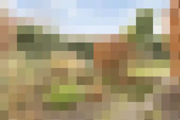 Buitenerf 143 Breda thumbnail 21
