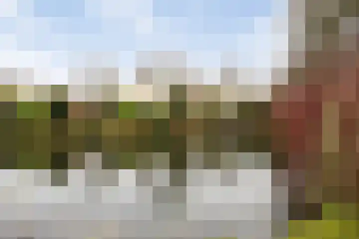 Buitenerf 143 Breda thumbnail 24