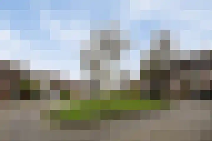 Buitenerf 143 Breda thumbnail 25