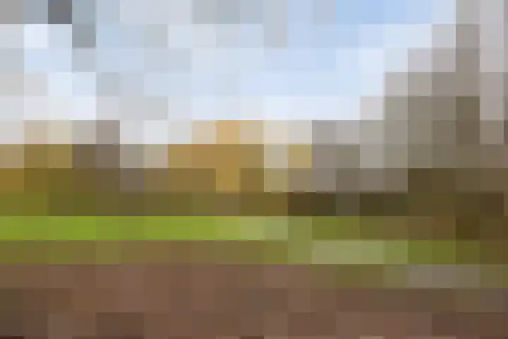 Buitenerf 143 Breda thumbnail 26