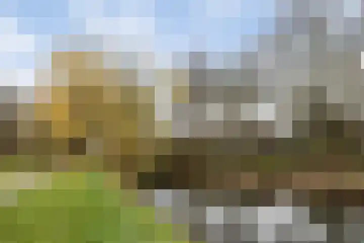 Buitenerf 143 Breda thumbnail 27