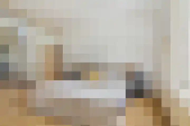 Buitenerf 144 Breda thumbnail 21