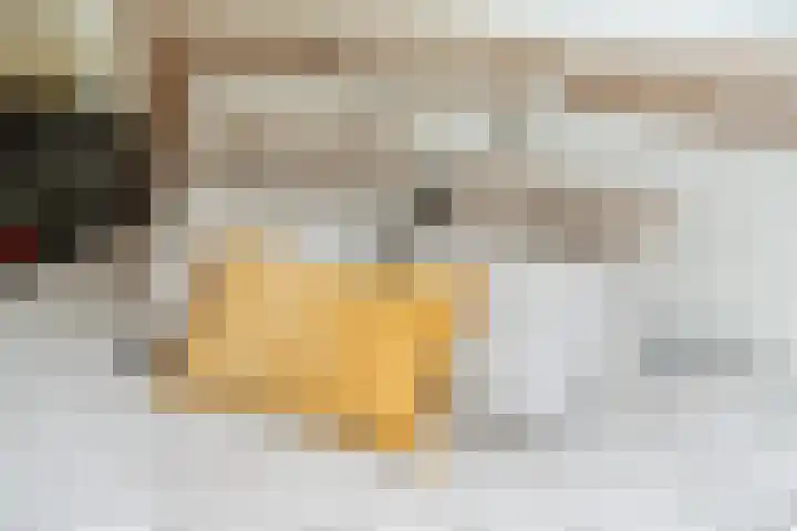 Buitenerf 144 Breda thumbnail 22