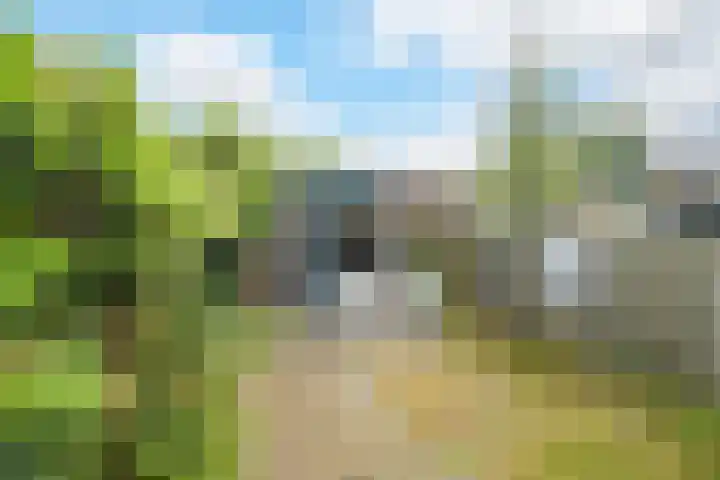 Buitenerf 144 Breda thumbnail 32